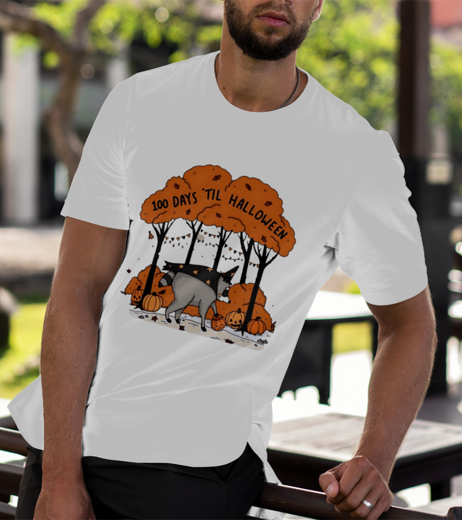 100 Days 'til Halloween Raccoon Wizard Costume In Pumpkin Patch Forest T-Shirt