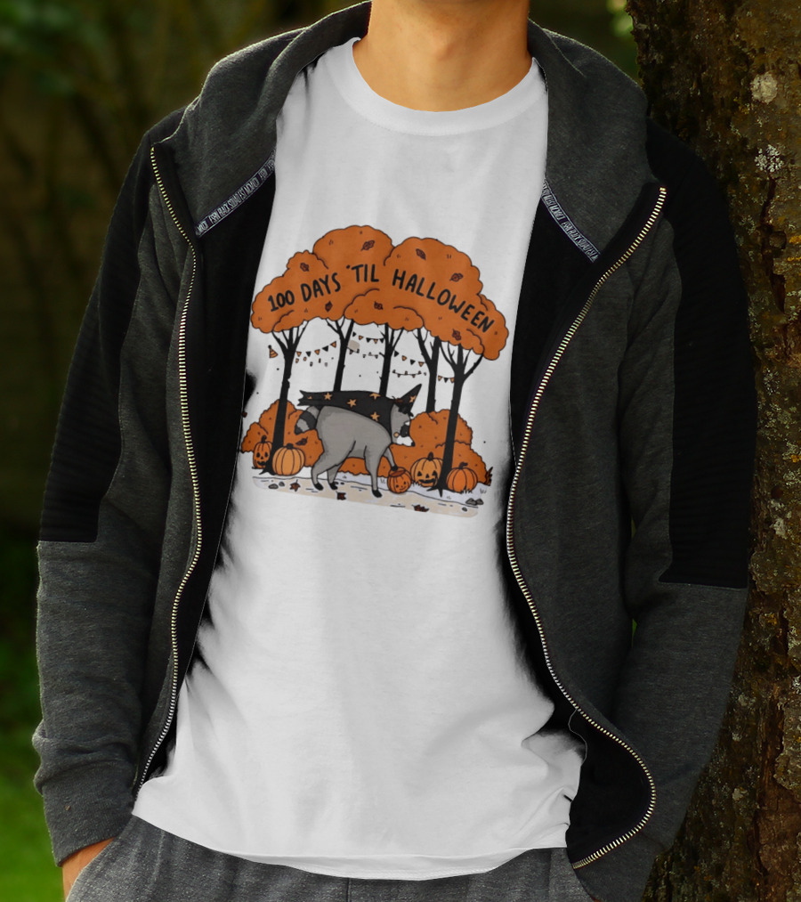 100 Days 'til Halloween Raccoon Wizard Costume In Pumpkin Patch Forest T-Shirt
