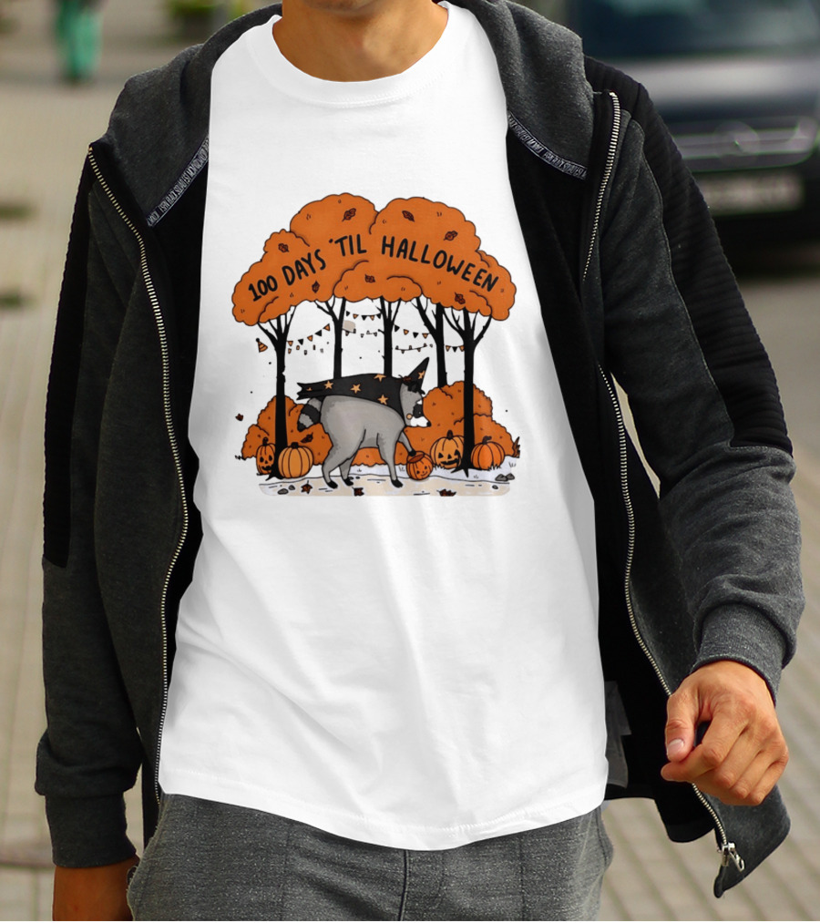 100 Days 'til Halloween Raccoon Wizard Costume In Pumpkin Patch Forest T-Shirt
