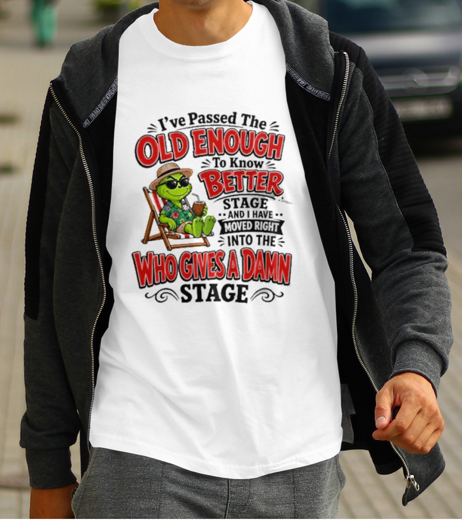 I've Passed Into The Grinch Old Enough To Know Better Who Gives A Damn Stage T-Shirt
