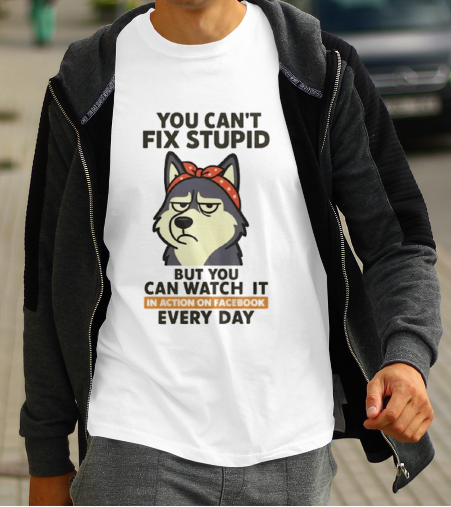 You Can't Fix Stupid But You Can It Every Day Husky T-Shirt