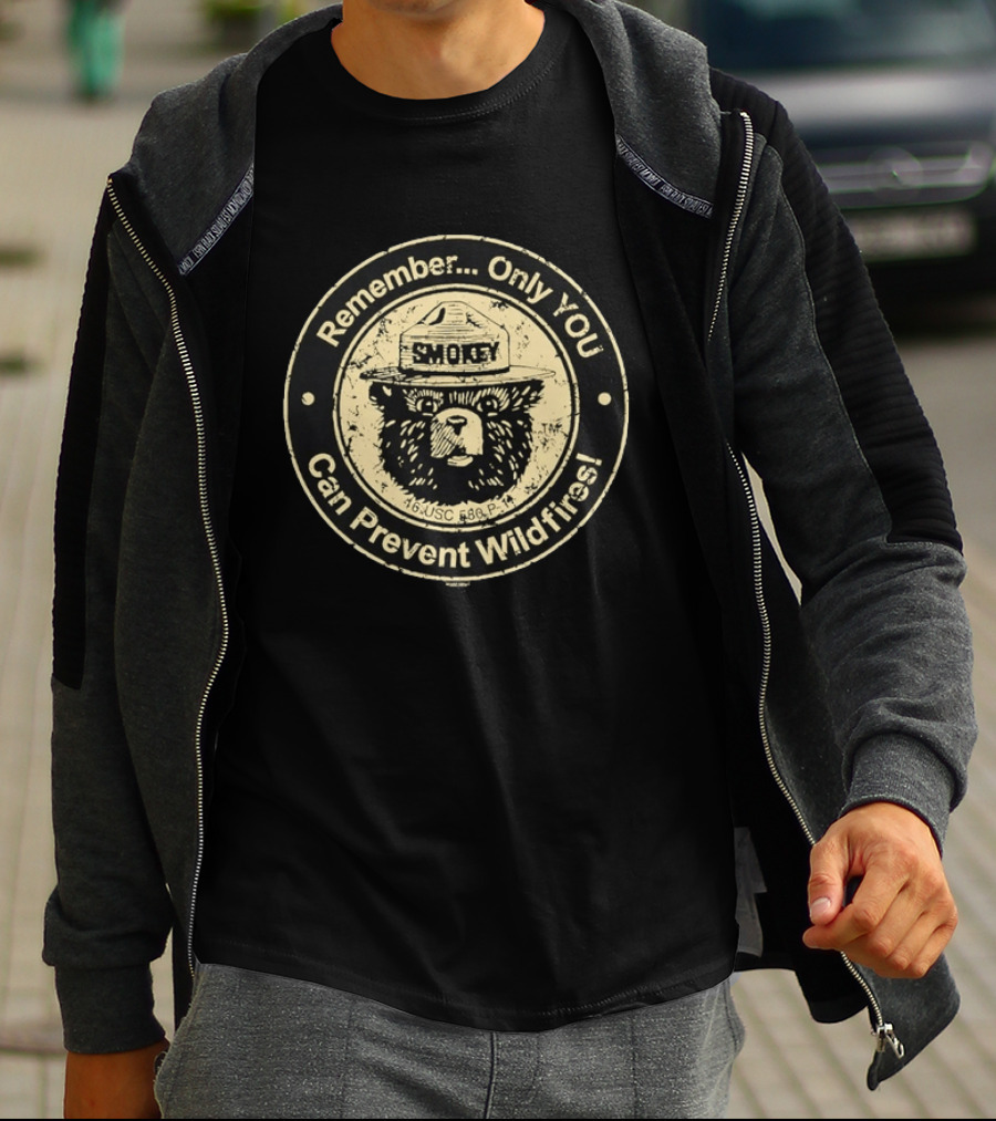 Remember Only You Can Prevent Wildfires Distressed Smokey Bear 16 USC 580p 11 T-Shirt