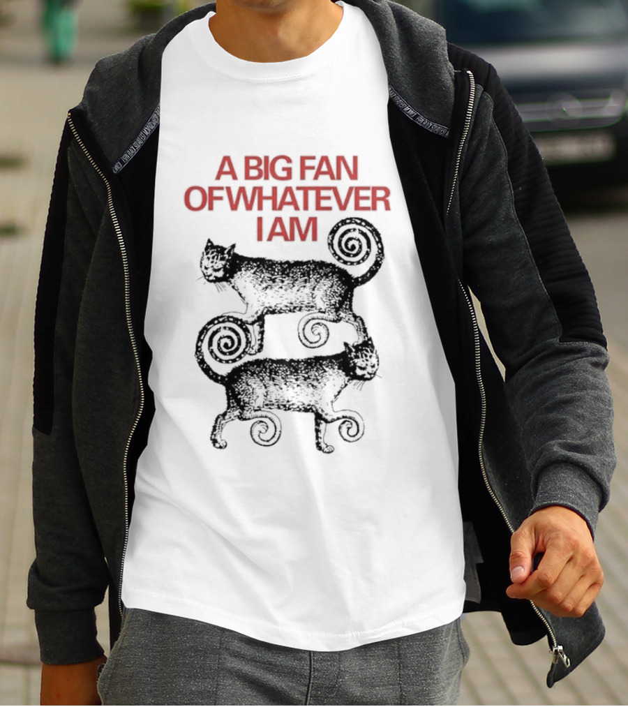 A Big Fan Of Whatever I Am Spiral Cats T-Shirt