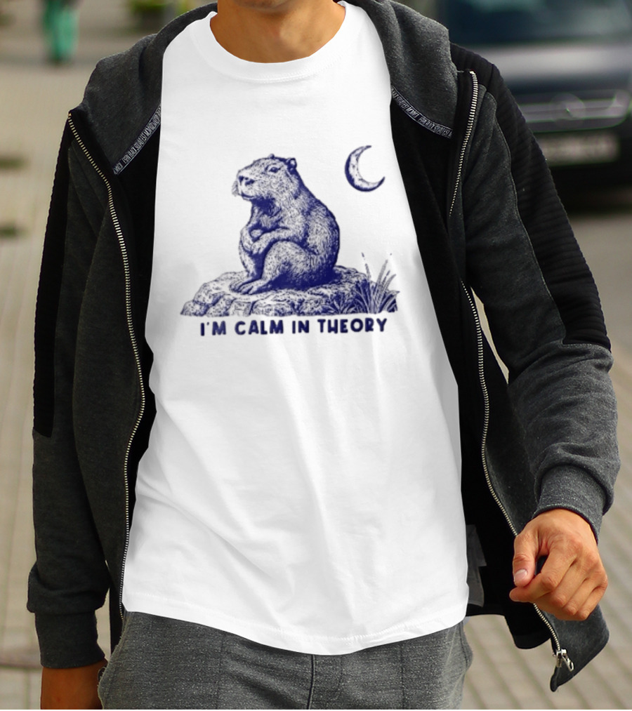 I'm Calm In Theory Capybara Sitting On Rock Under Crescent Moon T-Shirt