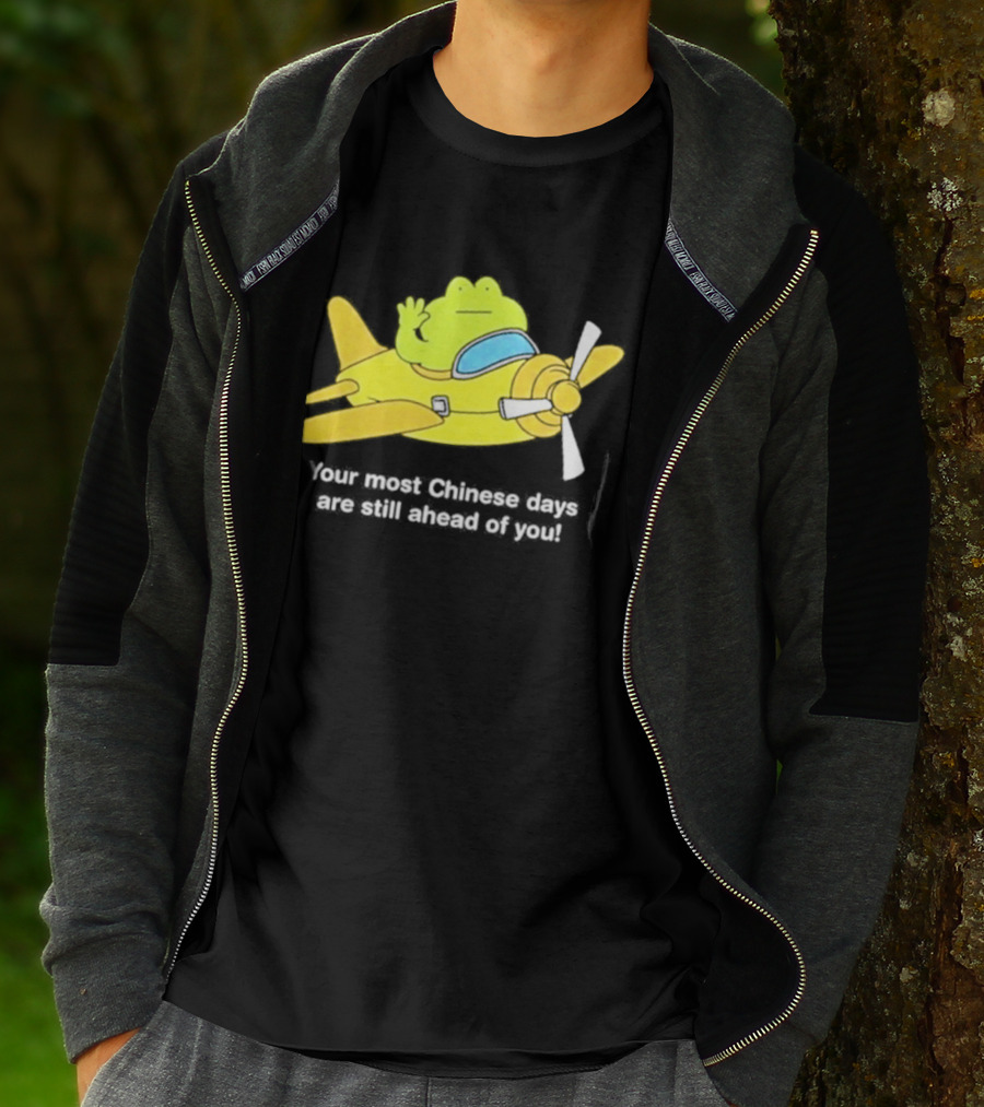 Frog Your Most Chinese Days Are Still Ahead Of You Airplane Scene T-Shirt