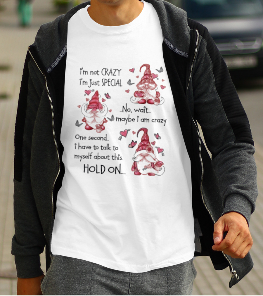 I'm Not Crazy I'm Just Special Gnome No Wait Maybe I Am Crazy Hold On T-Shirt