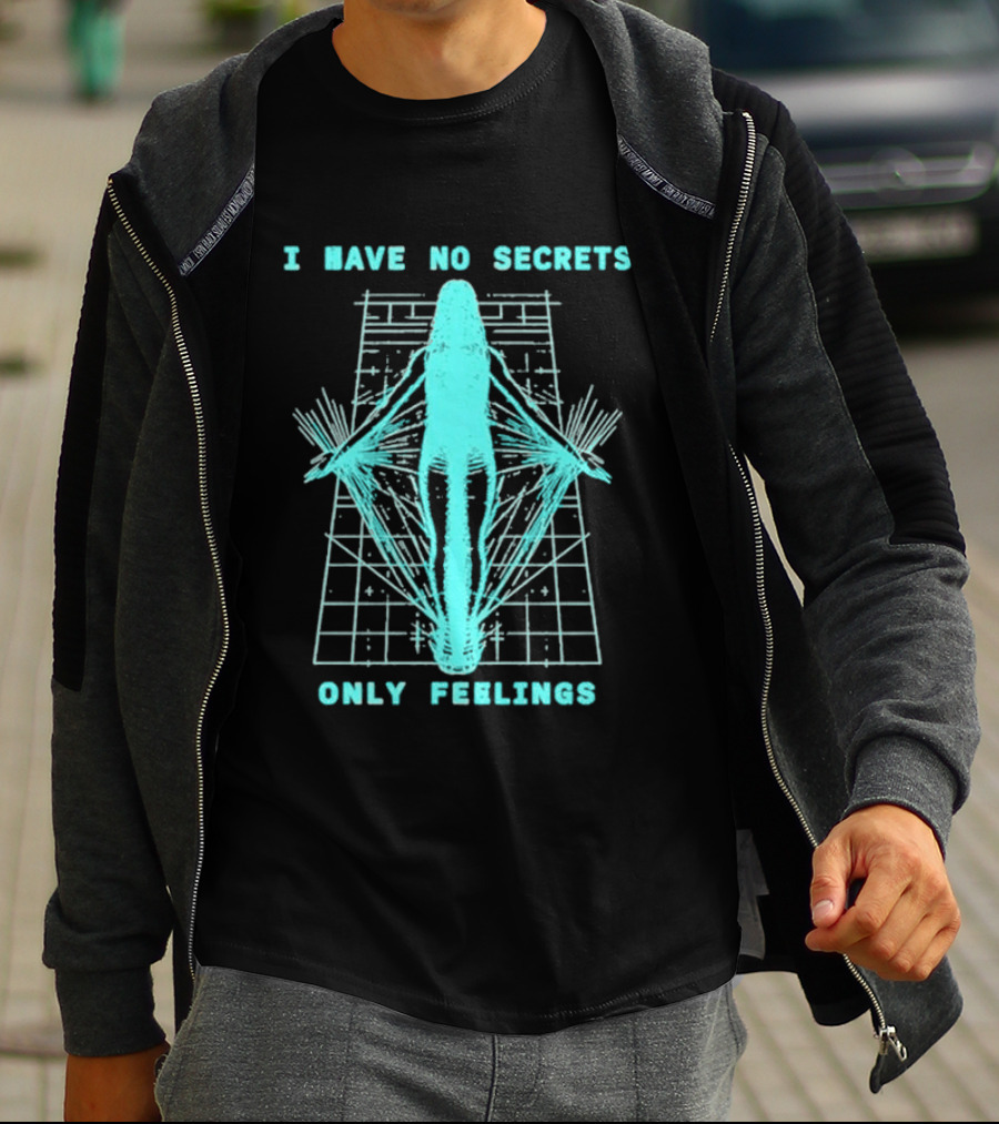 Phoebe Bridgers I Have No Secrets Only Feelings 2026 The Lost Tour T-Shirt