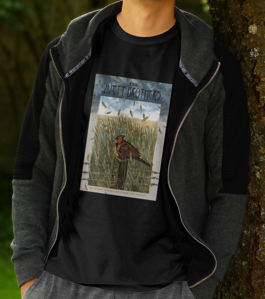 The Avett Brothers Westville Music Bowl New Haven CT Sep 17 2026 Cardinal In Field T-Shirt