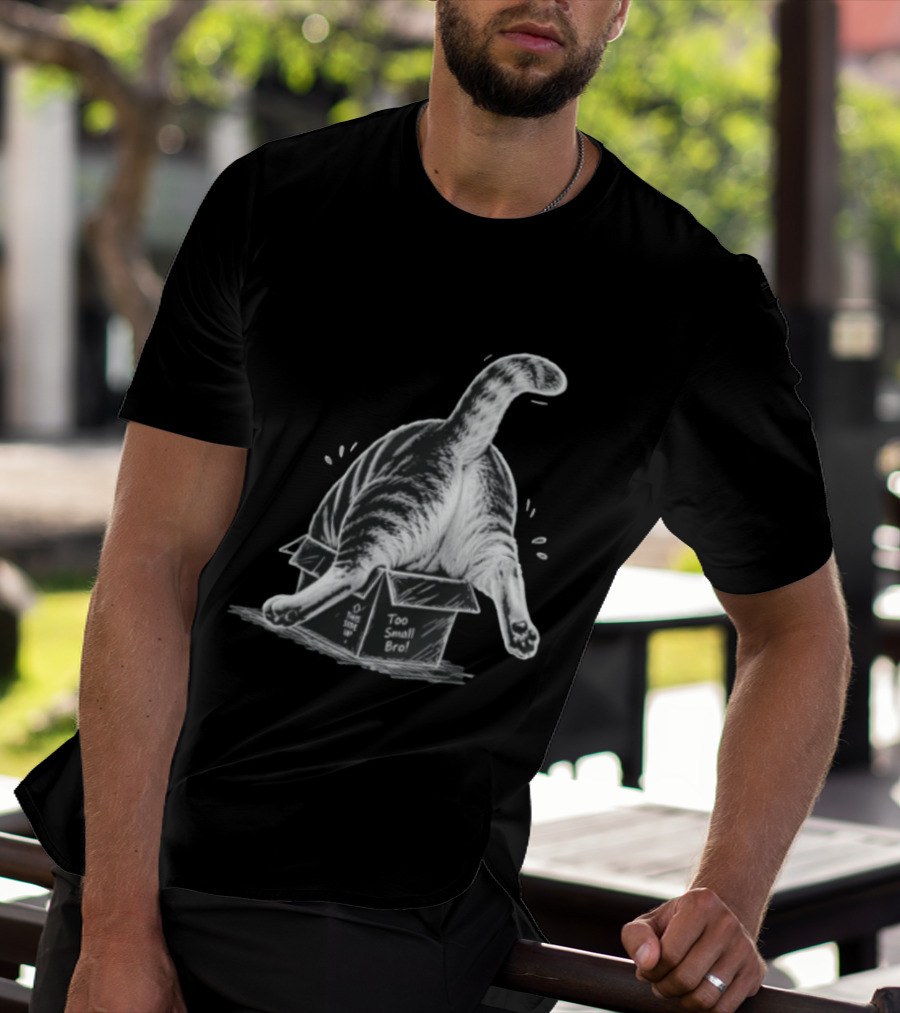 Too Small Bro Tabby Cat Stuck In Box Rear View T-Shirt