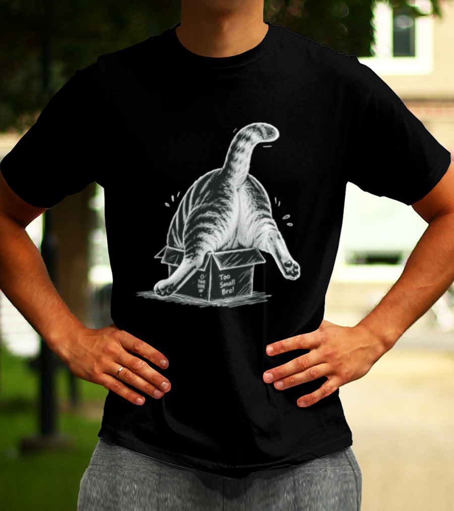 Too Small Bro Tabby Cat Stuck In Box Rear View T-Shirt