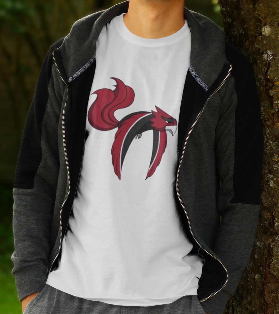 Atlanta Falcons Pokemon Mashup Bird T-Shirt