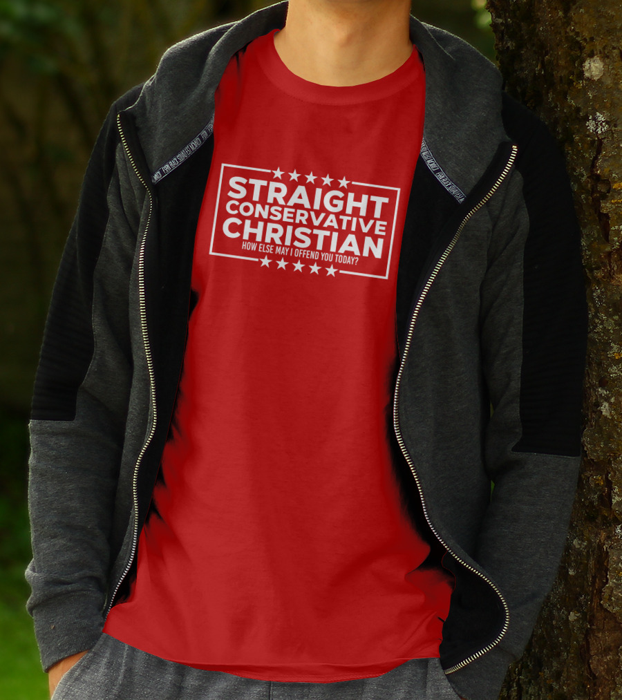 Hodgetwins Store Straight Conservative Christian How Else May I Offend You Today T-Shirt
