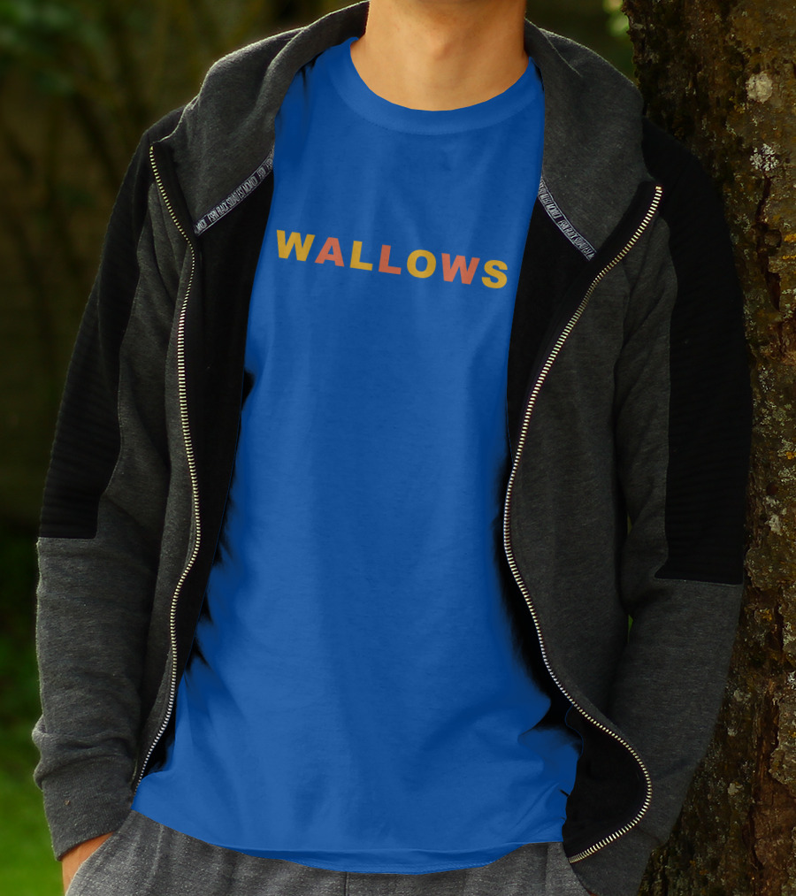 Wallows Colorful Block Logo Puff Text T-Shirt