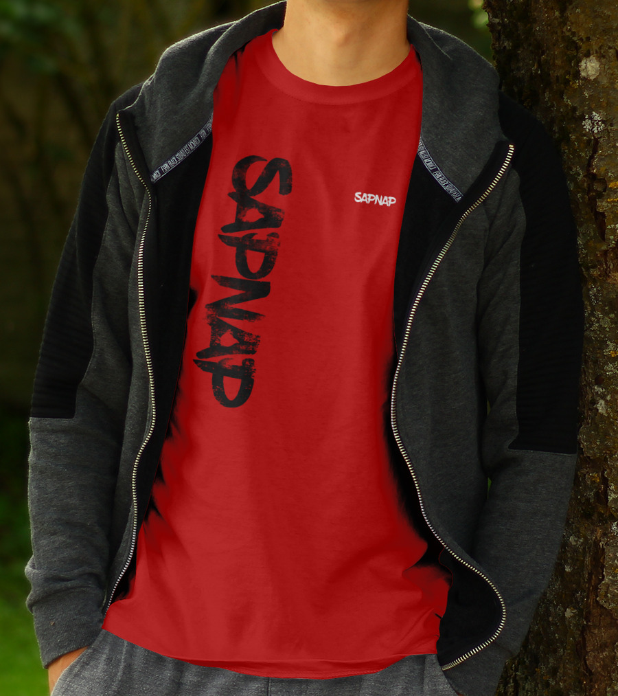 Sapnap Merch Store Sapnap Text Bold Graphic Dt Updates T-Shirt