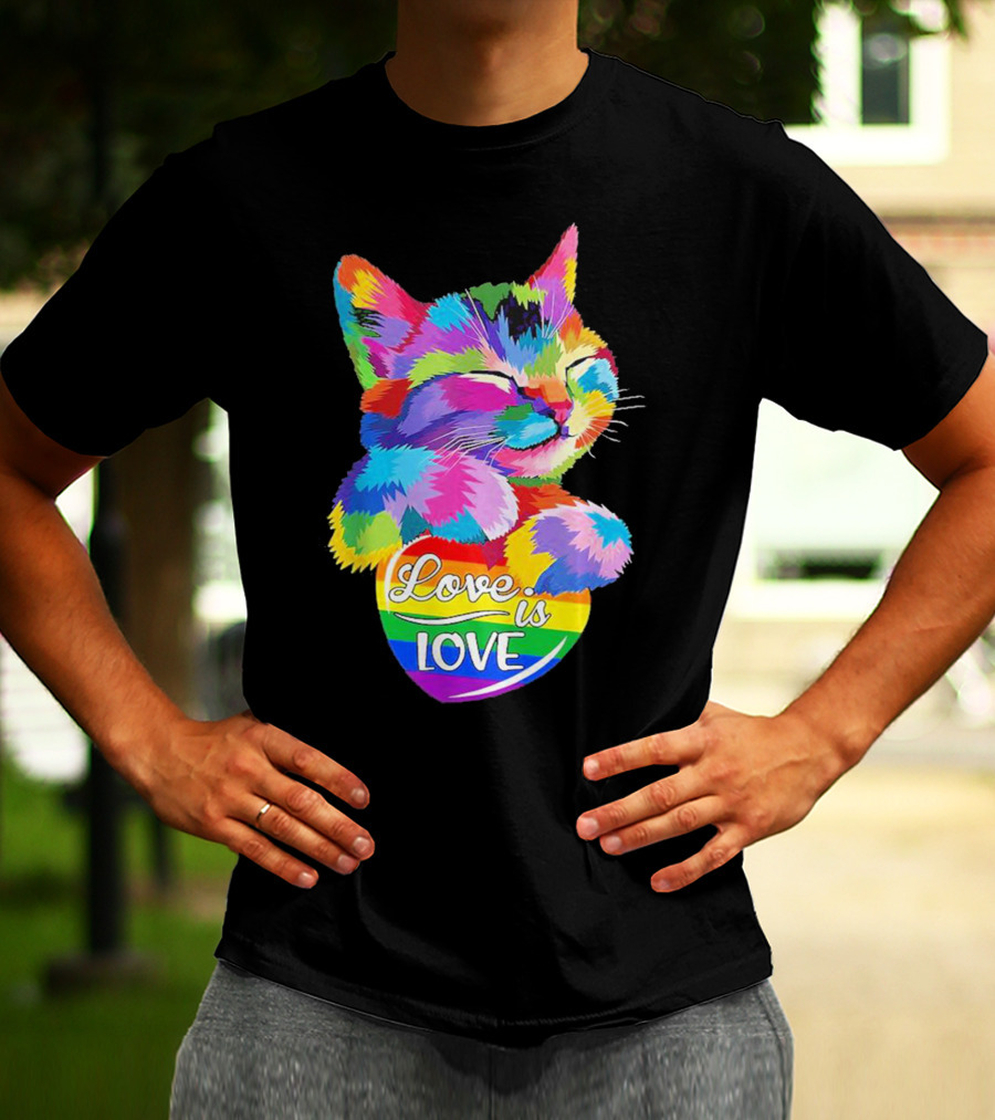 Love Is Love Colorful Cat Rainbow Pride T-Shirt