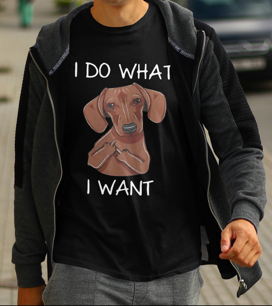 Dachshund I Do What I Want Funny Dachshund I Want T-Shirt