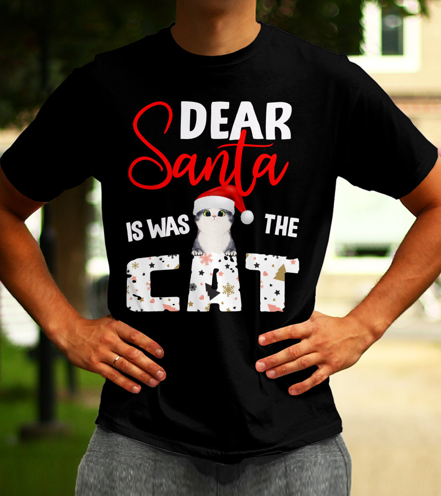 Dear Santa Cute Cat In Santa Hat Holiday Christmas T-Shirt