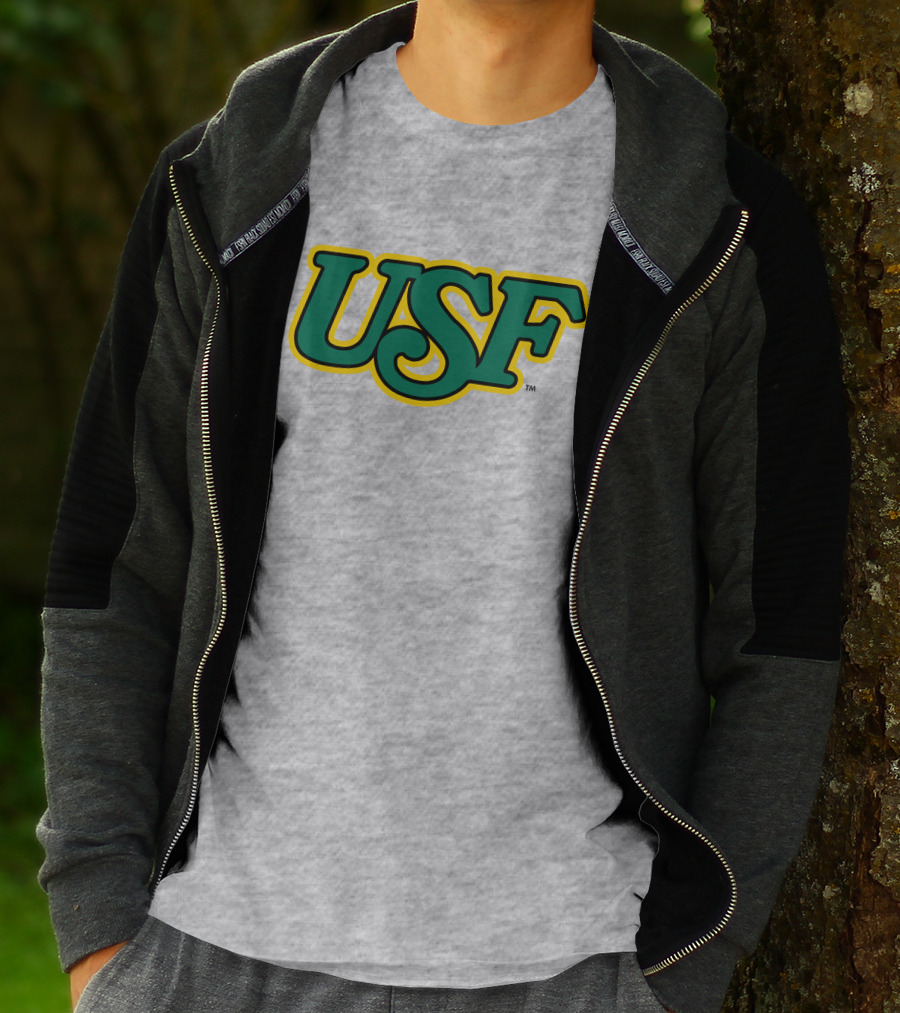 Homefield Apparel Store USF Vintage 1980s USF Logo Gray T-Shirt