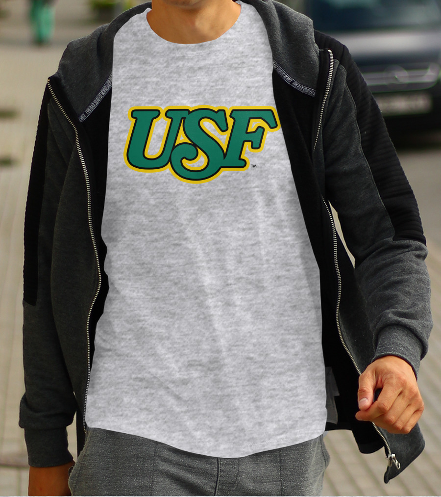 Homefield Apparel Store USF Vintage 1980s USF Logo Gray T-Shirt