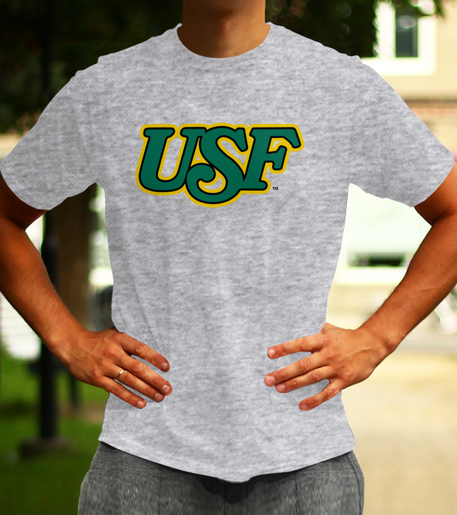 Homefield Apparel Store USF Vintage 1980s USF Logo Gray T-Shirt