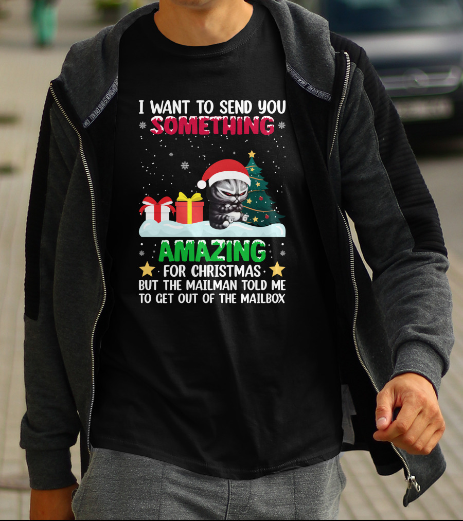 I Want To Send You Something Amazing For Christmas But The Mailman Told Me To Get Out Of The Mailbox Cat T-Shirt