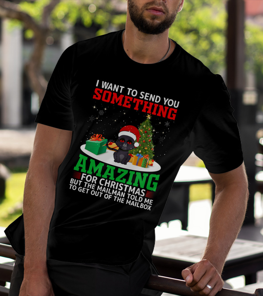 I Want To Send You Something Amazing For Christmas But The Mailman Told Me To Get Out Of The Mailbox T-Shirt