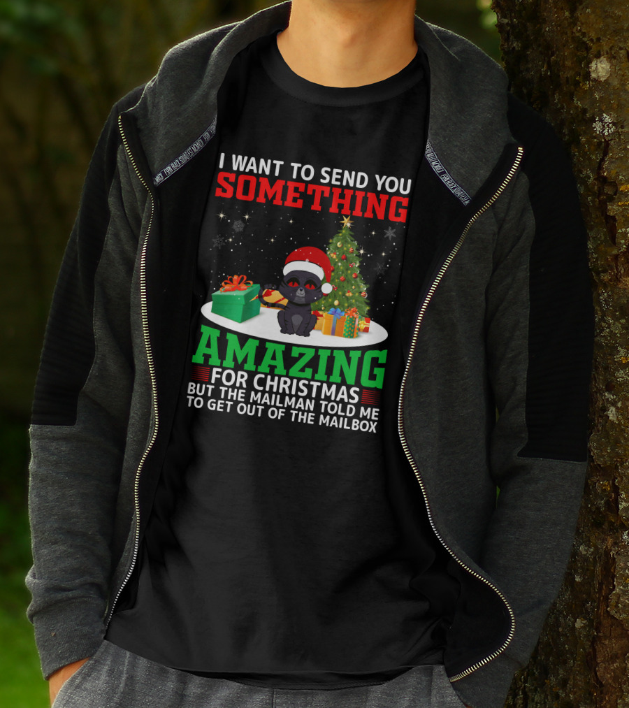 I Want To Send You Something Amazing For Christmas But The Mailman Told Me To Get Out Of The Mailbox T-Shirt