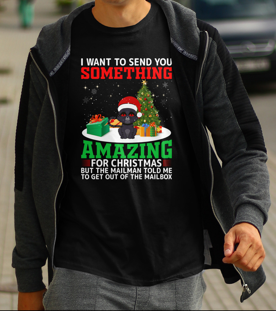 I Want To Send You Something Amazing For Christmas But The Mailman Told Me To Get Out Of The Mailbox T-Shirt