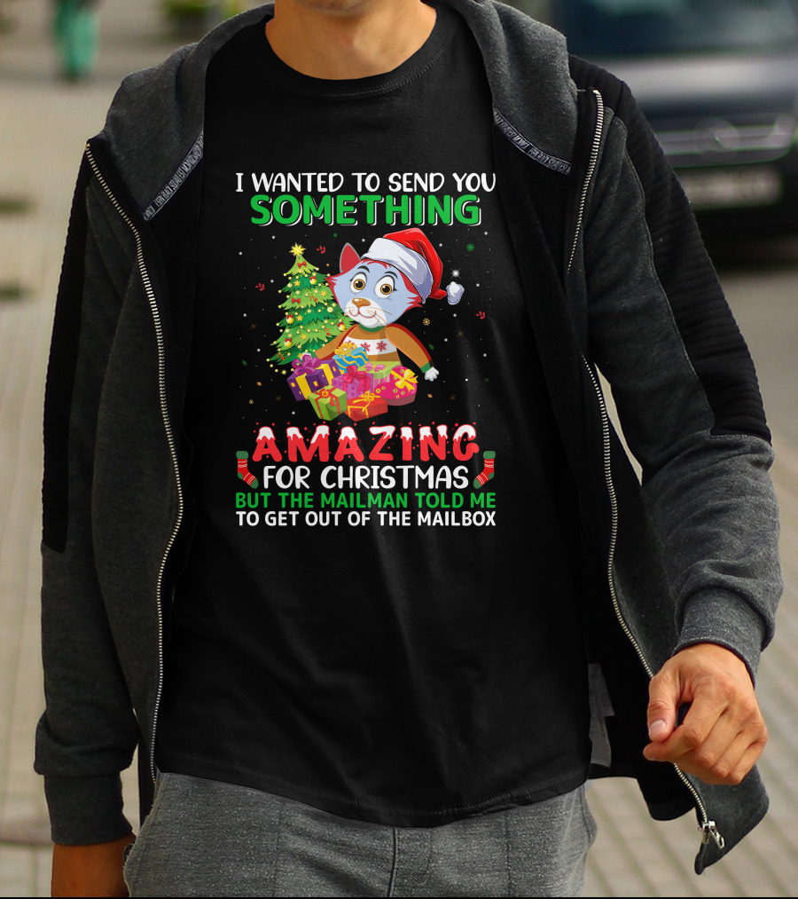 I Wanted To Send You Something Amazing For Christmas But The Mailman Told Me To Get Out Of The Mailbox T-Shirt