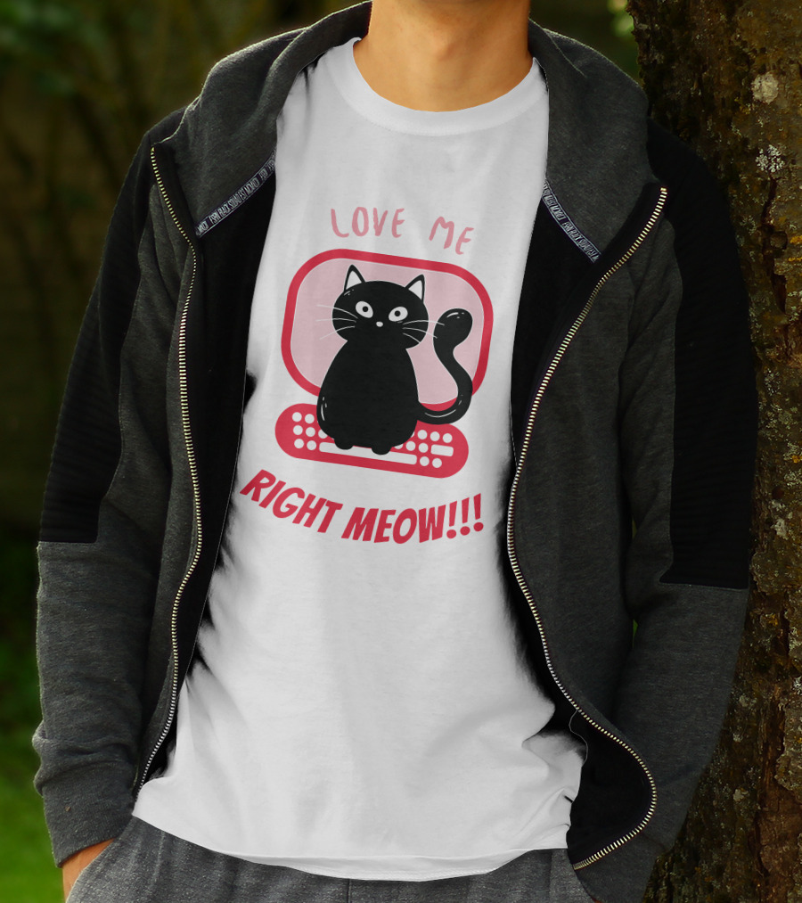 Love Me Right Meow Valentine Boss Kitty T-Shirt