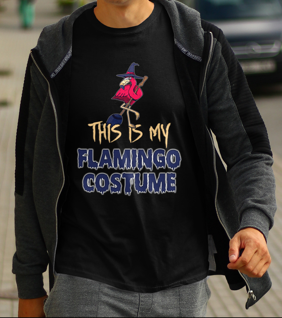 This Is My Flamingo Costume Witch Broomstick Family T-Shirt