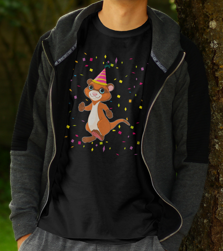 Funny Ferret Birthday Party With Confetti And Hat T-Shirt