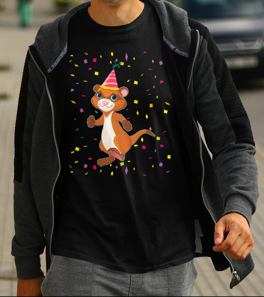 Funny Ferret Birthday Party With Confetti And Hat T-Shirt