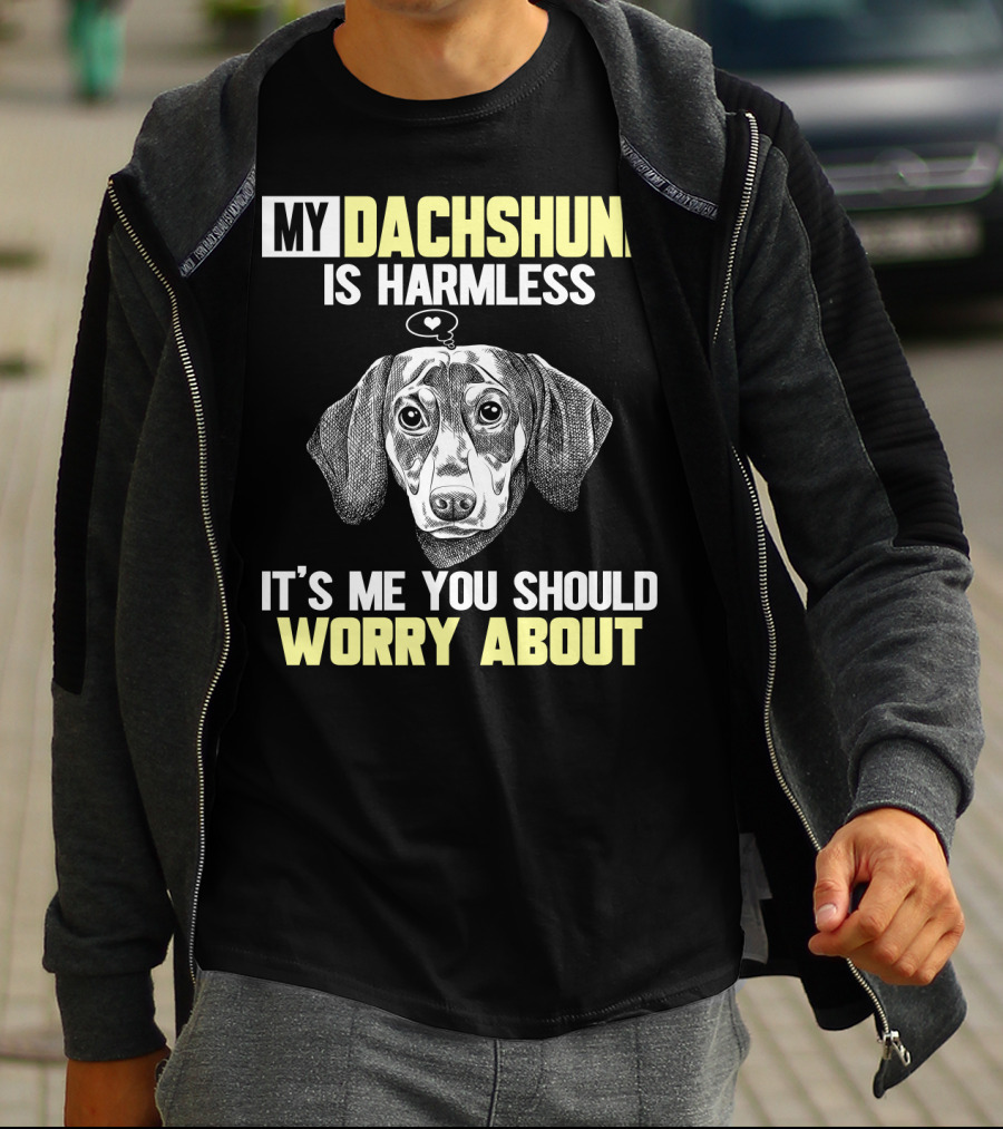 MY DACHSHUND IS HARMLESS IT'S ME YOU SHOULD WORRY ABOUT T-Shirt