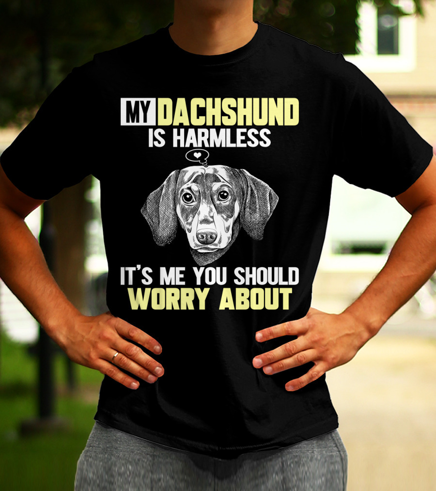MY DACHSHUND IS HARMLESS IT'S ME YOU SHOULD WORRY ABOUT T-Shirt
