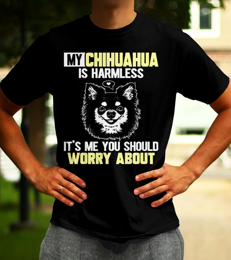MY CHIHUAHUA IS HARMLESS IT'S ME YOU SHOULD WORRY ABOUT T-Shirt