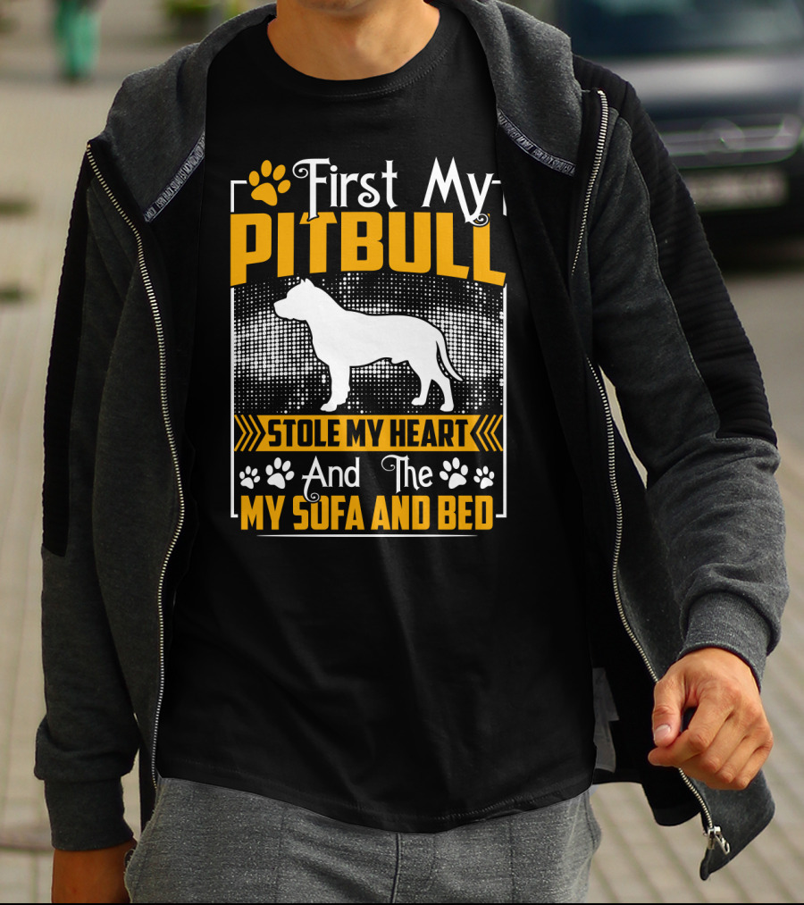 First My Pitbull Stole My Heart And Then My Sofa And Bed T-Shirt