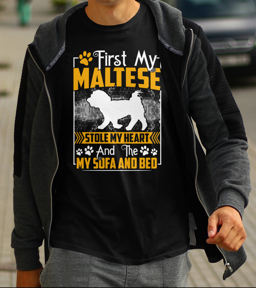 First My Maltese Stole My Heart And The My Sofa And Bed T-Shirt