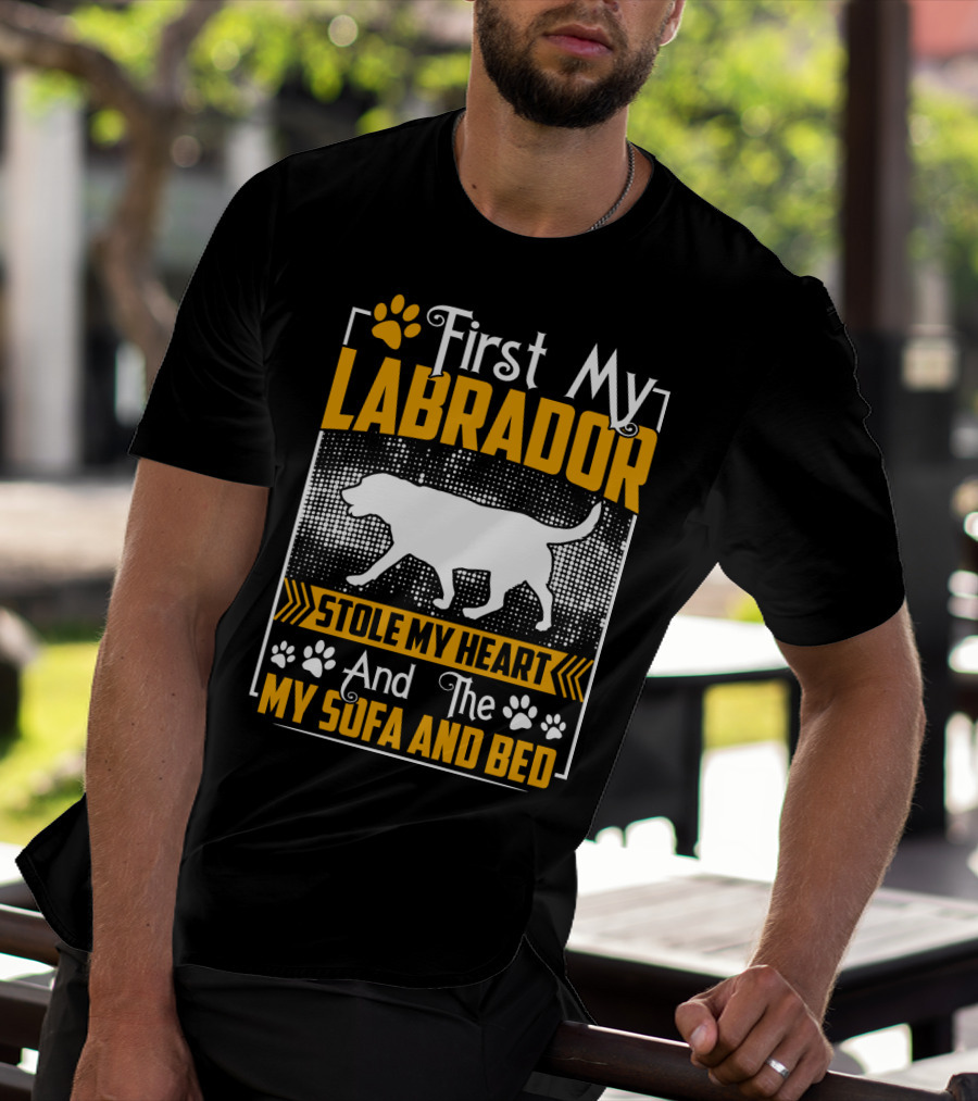 First My Labrador Stole My Heart And Then My Sofa And Bed T-Shirt