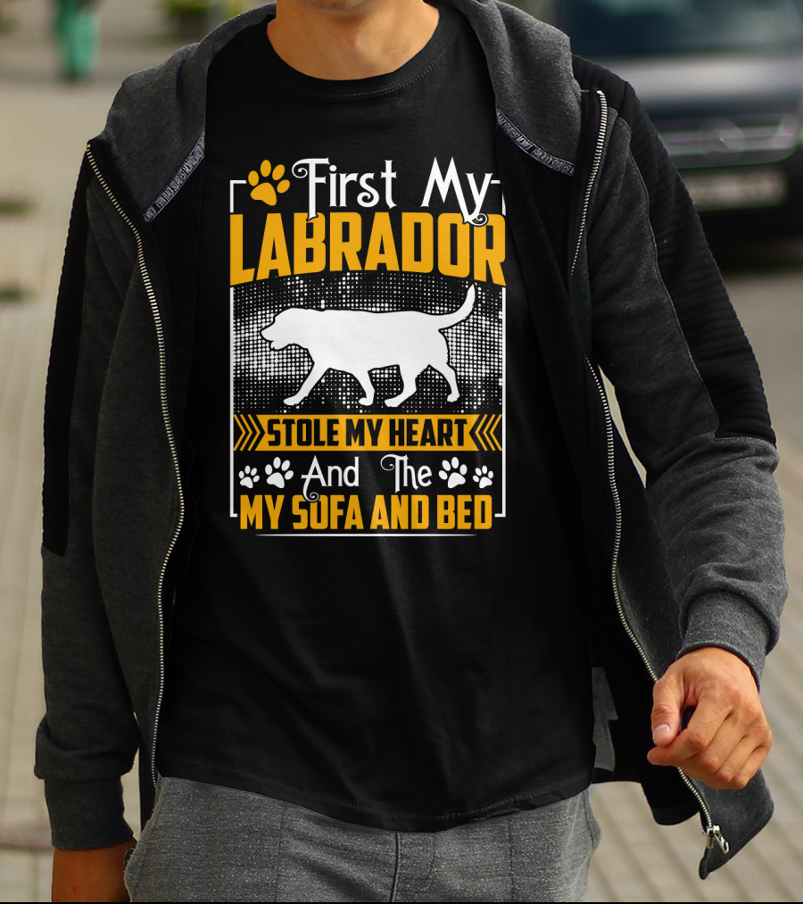 First My Labrador Stole My Heart And Then My Sofa And Bed T-Shirt