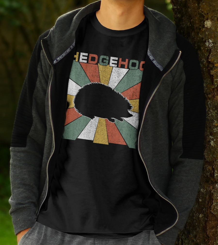 Hedgehog Retro 70s Silhouette Vintage Stripe Burst T-Shirt