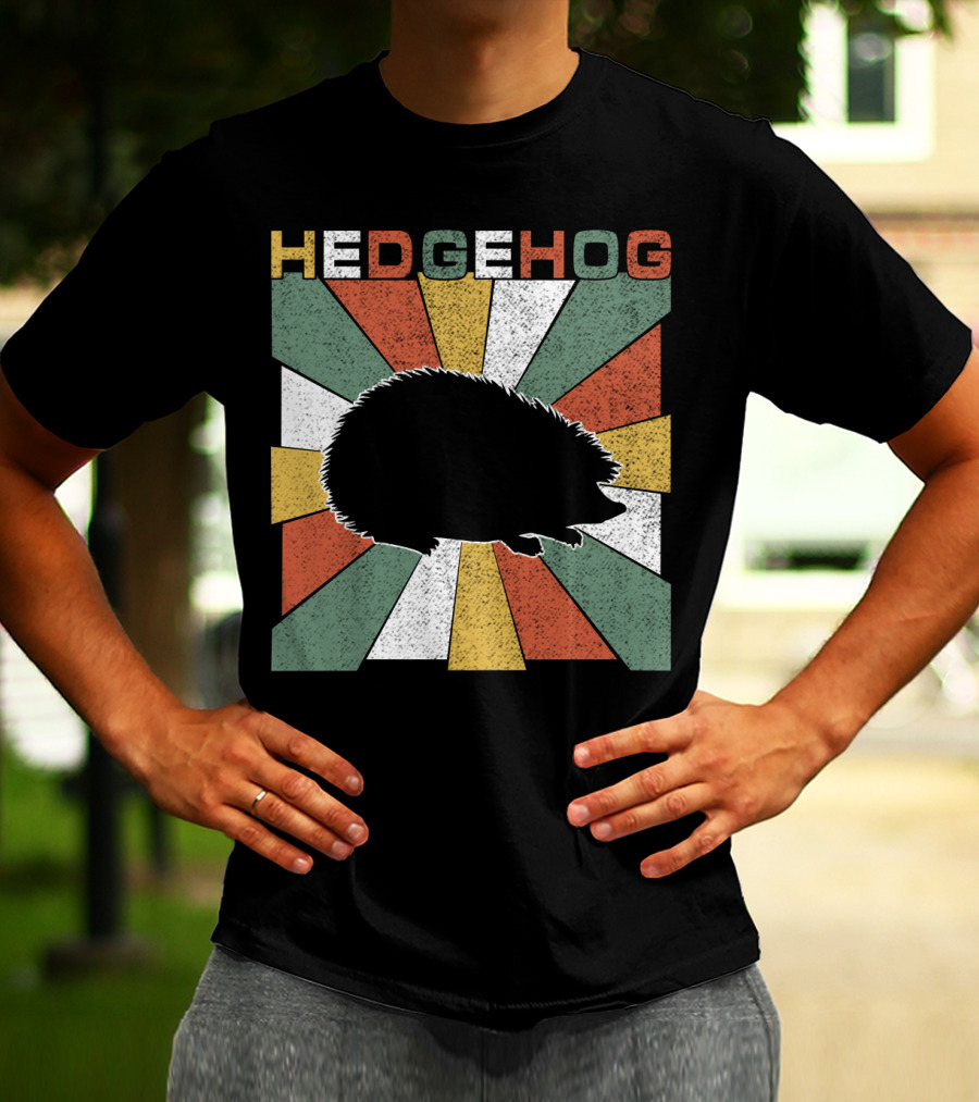 Hedgehog Retro 70s Silhouette Vintage Stripe Burst T-Shirt