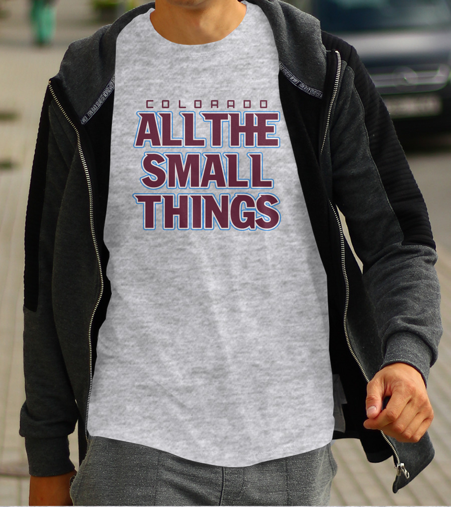 Colorado All The Small Things T-Shirt