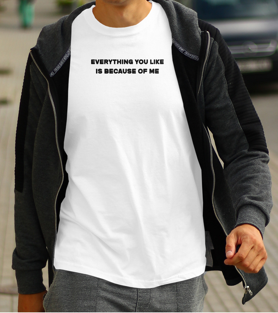 Everything You Like Is Because Of Me T-Shirt