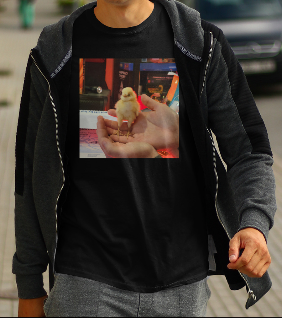 Lukewearechange Tallboi Conspiracy Theory Chick T-Shirt