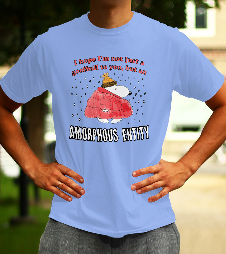 I Hope I'm Not Just A Goofball To You But An Amorphous Entity In Winter Wear T-Shirt