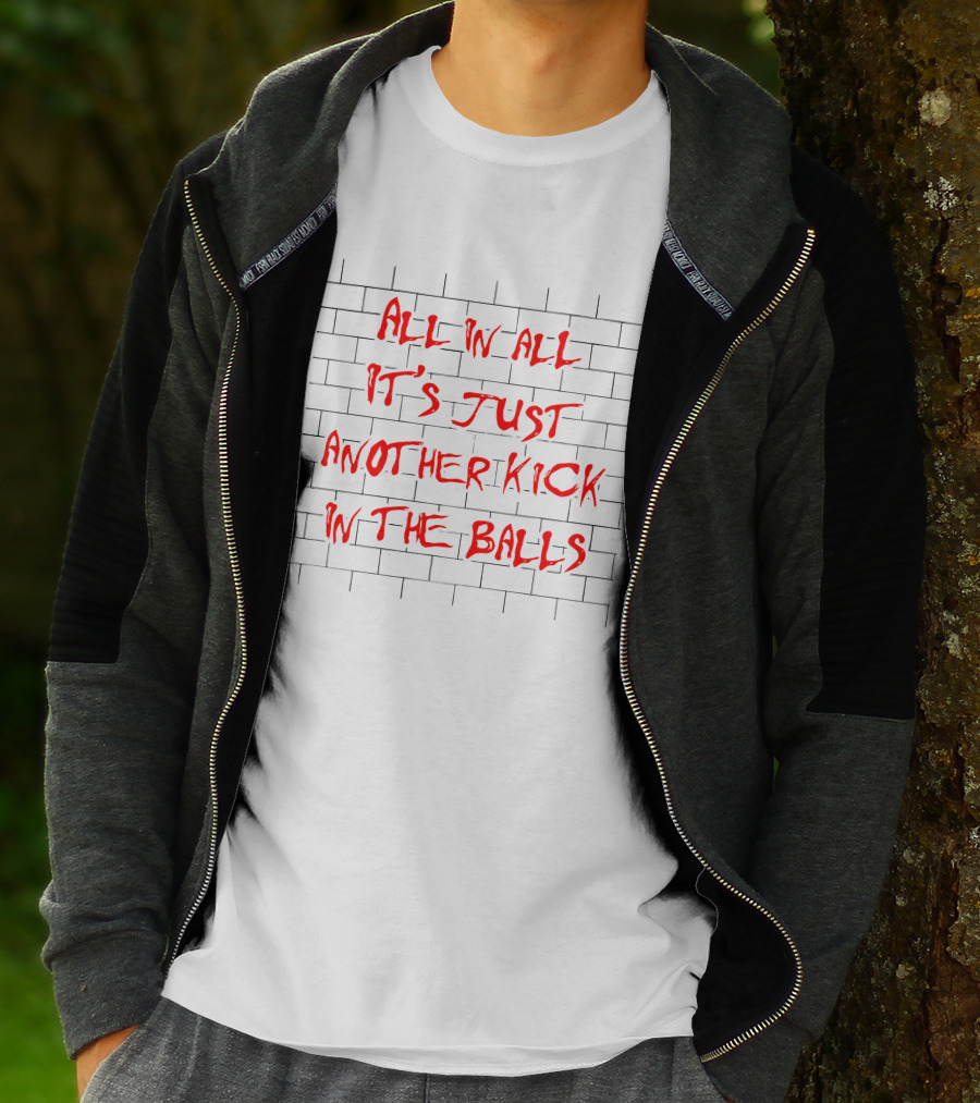 All In All It's Just Another Kick In The Balls The Good Brick Wall T-Shirt