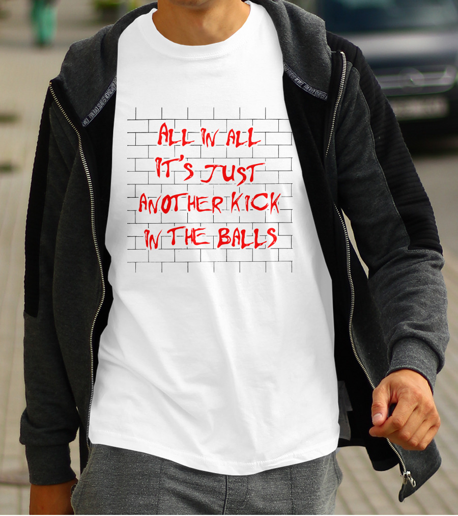 All In All It's Just Another Kick In The Balls The Good Brick Wall T-Shirt