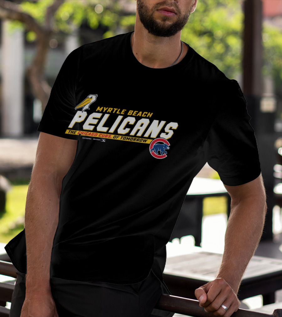 Myrtle Beach Pelicans The Chicago Cubs Of Tomorrow Bimm Ridder Youth Toddler Carolina T-Shirt