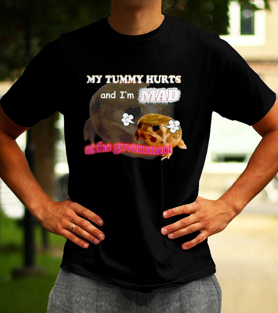 My Tummy Hurts And I'm MAD At The Government Frog Meme T-Shirt
